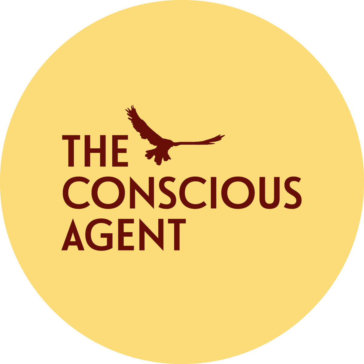 Benjamin Wechsler:  Teaching Consultant | Home of The Conscious Agent & The Orchestra of Life